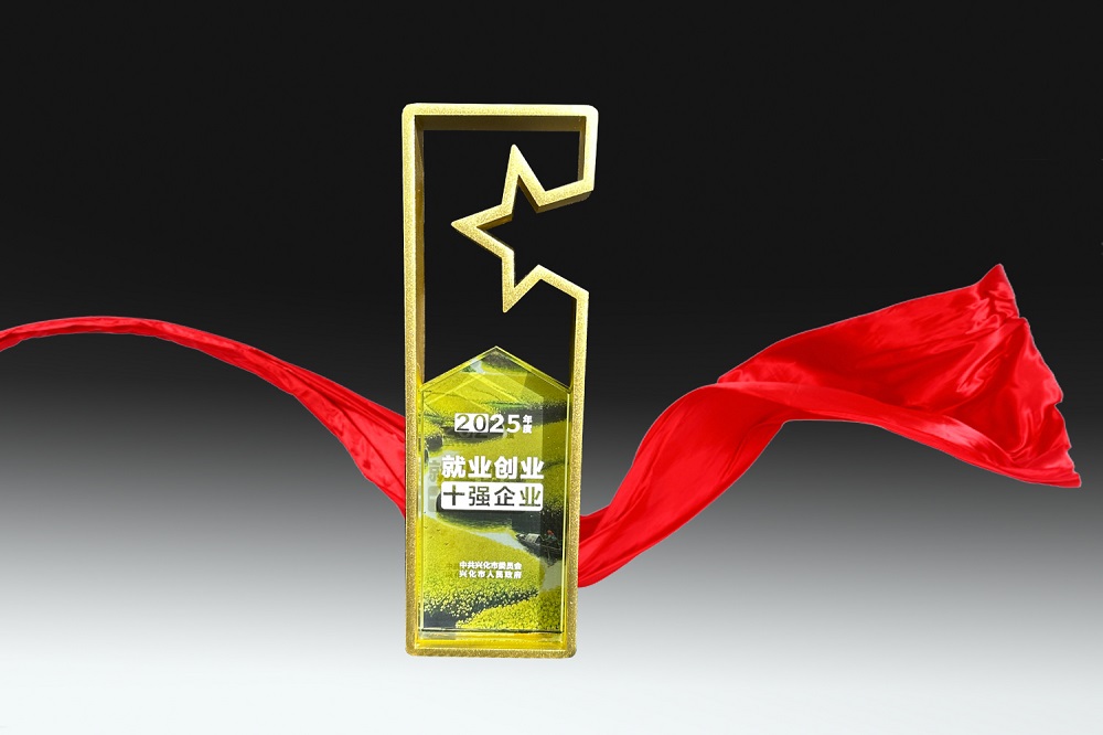 2025年度興化市就業創業十強企業