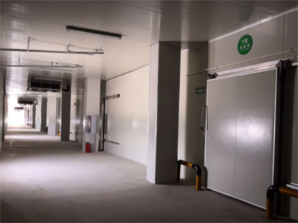 建造200噸的肉類冷鏈冷凍庫如何做好規劃設計？
