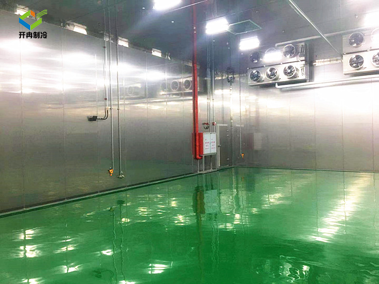 化工工業(yè)防火防爆冷庫(kù)安裝 化工工業(yè)防火防爆冷庫(kù)安裝