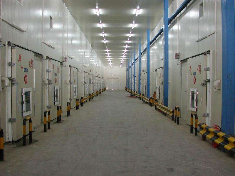 上海開冉制冷為客戶建設(shè)的8000立方米氣調(diào)庫(kù)庫(kù)安裝設(shè)計(jì)案例