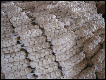 大蒜保鮮冷庫設計，冷庫安裝要求