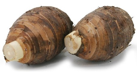 芋頭保鮮冷庫貯藏技術(shù)冷庫安裝設(shè)計(jì)要求