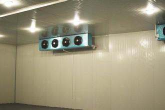 水果、蔬菜保鮮冷庫安裝,冷庫工程建造