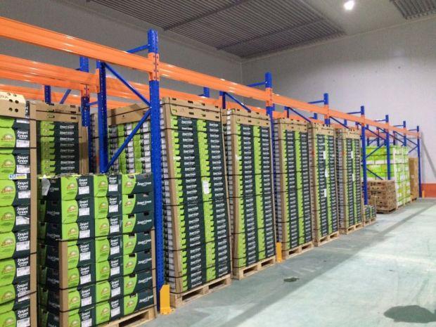 果蔬辣椒保鮮冷庫安裝，上海青椒保鮮冷庫造價