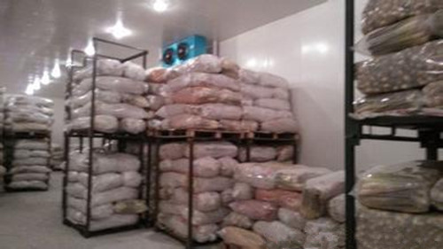 建一個500噸蓮藕冷庫多少錢 ，蓮藕冷庫造價