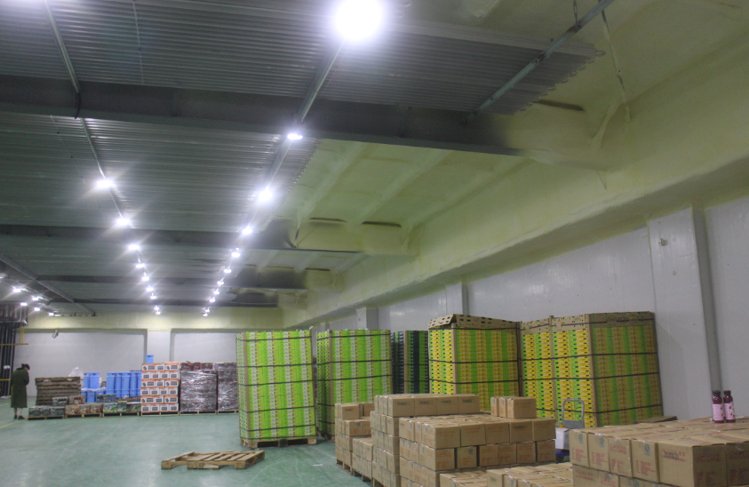 2000噸蘋果保鮮庫造價多少，0-5℃保鮮庫建造一平價格