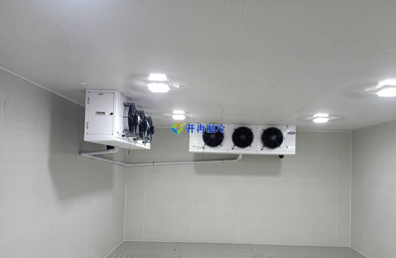 三甲醫(yī)院冷庫,體外診斷試劑冷庫